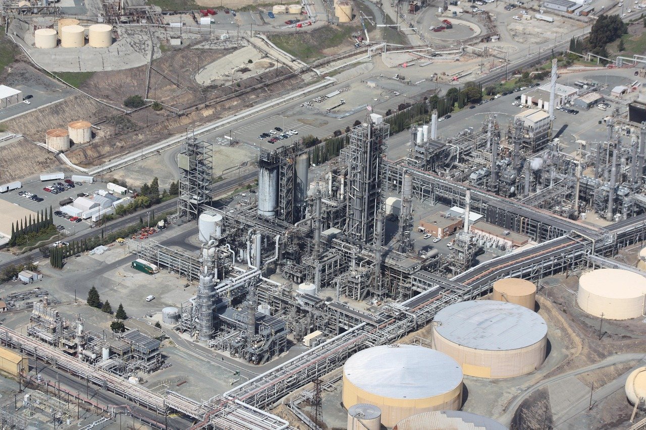Jazvečík s hnedou srsťou a čiernym nosom.