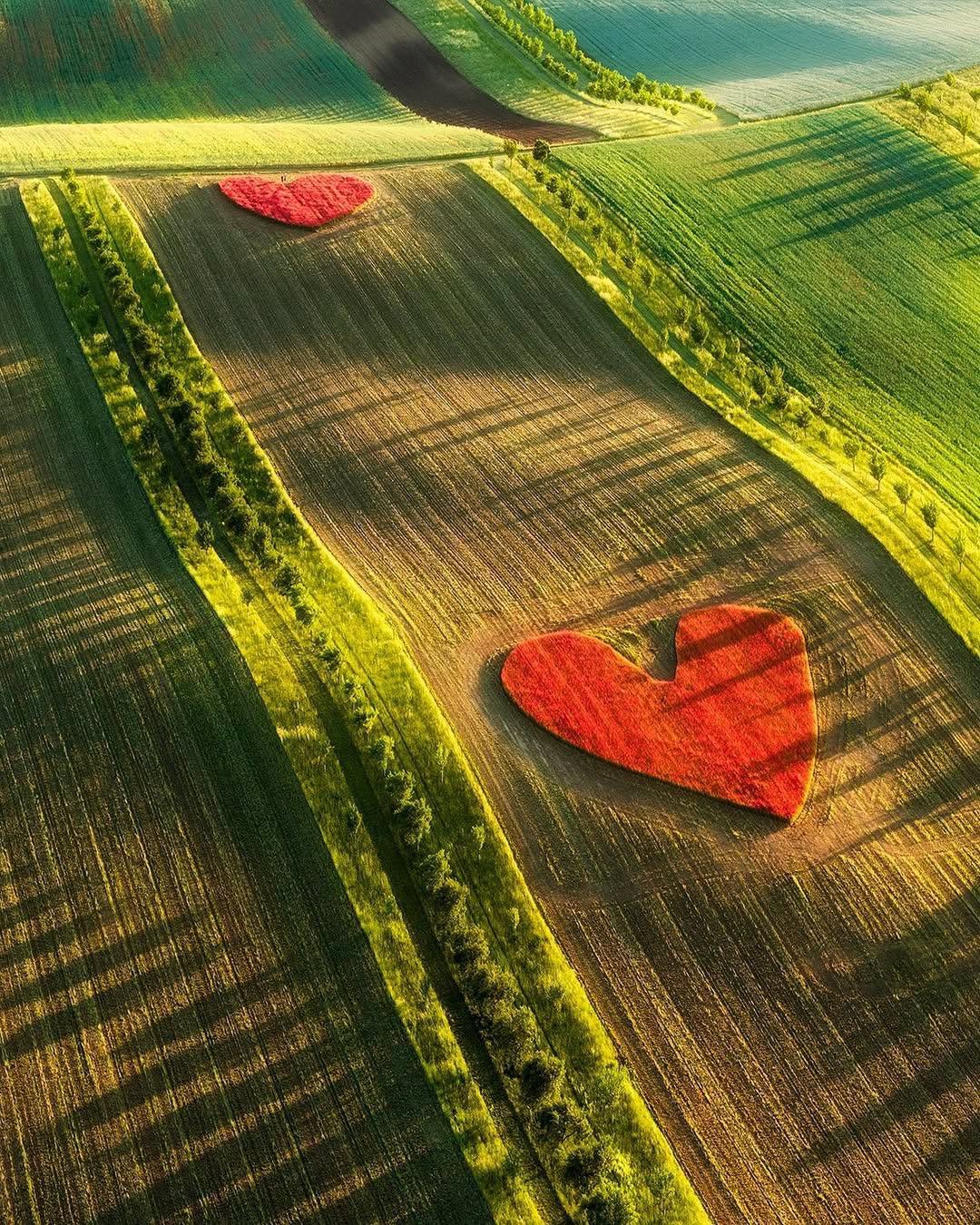 Fotografie toho, čo vytvoril farmár z Čiech pre svoju manželku k 30. výročiu svadby dojímajú ľudí na celom svete.