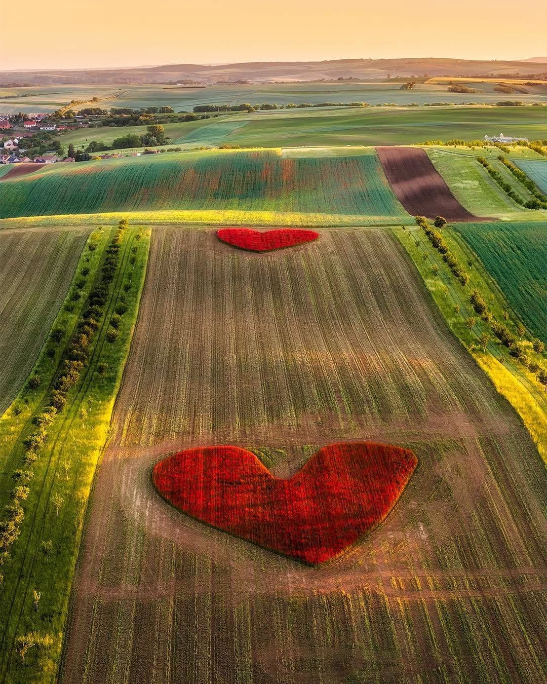 FOTO Nádherný dôkaz lásky. Dojímavé vyznanie českého farmára manželke k 30. výročiu