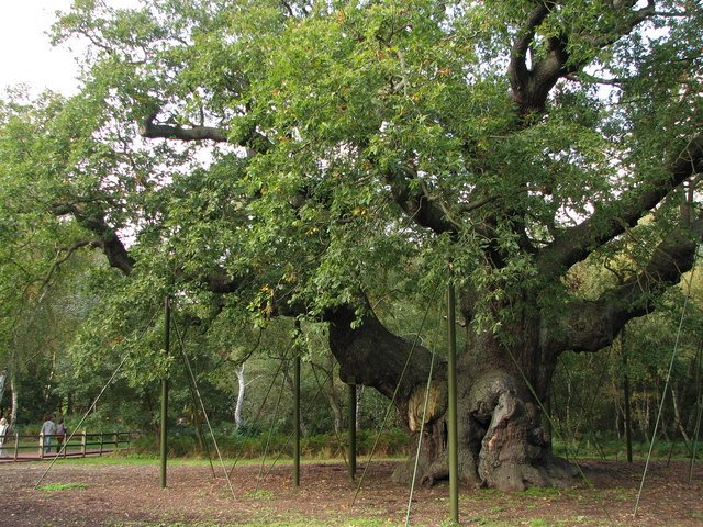 Fotografia 10