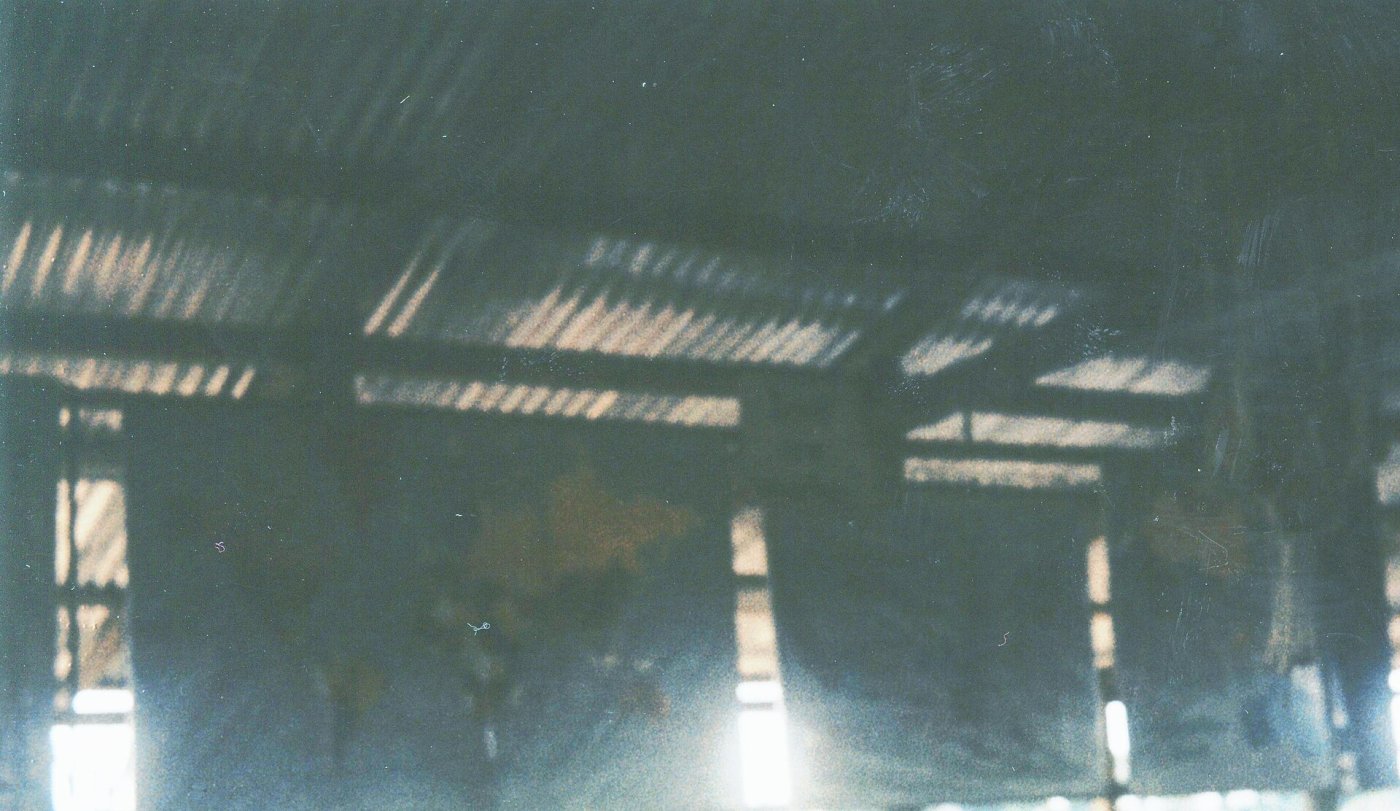 Fotografia 8