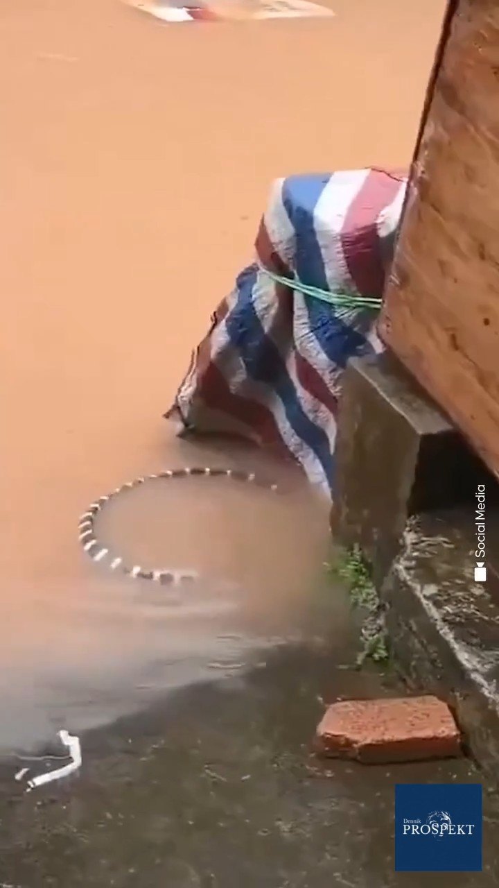 VIDEO Ak máte strach z hadov, nepozerajte! Z chovnej farmy ich ušlo takmer tisíc