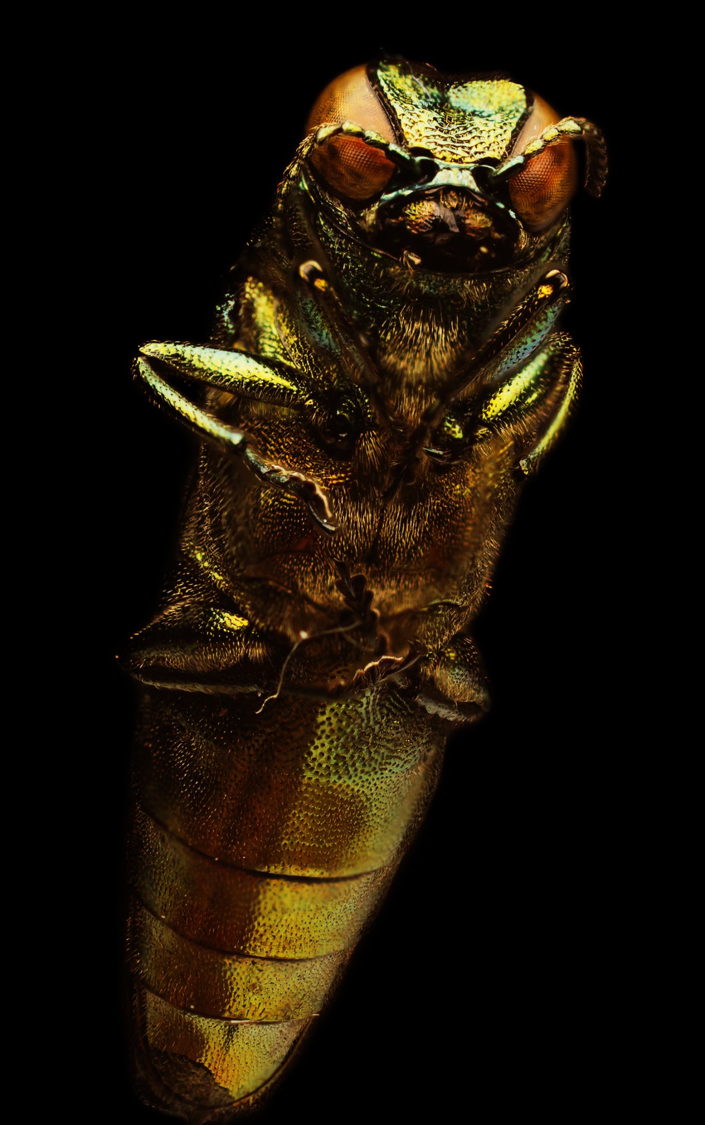 Fotografia 7