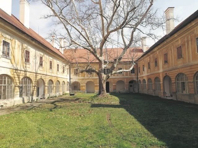 Fotografia 5