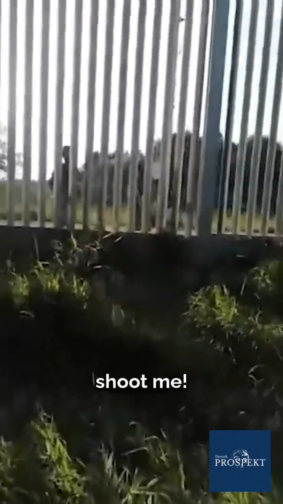 Migrant chcel zosmiešniť poľského vojaka, doplatil na to.