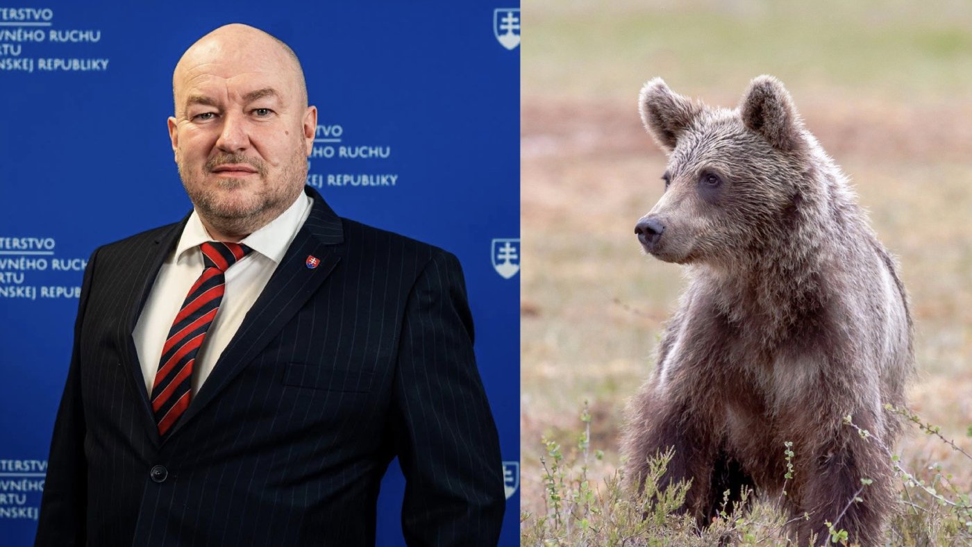 Minister Rudolf Huliak po útoku medveďa zúri: Čakáme, kým šelma zabije ženu alebo dieťa?