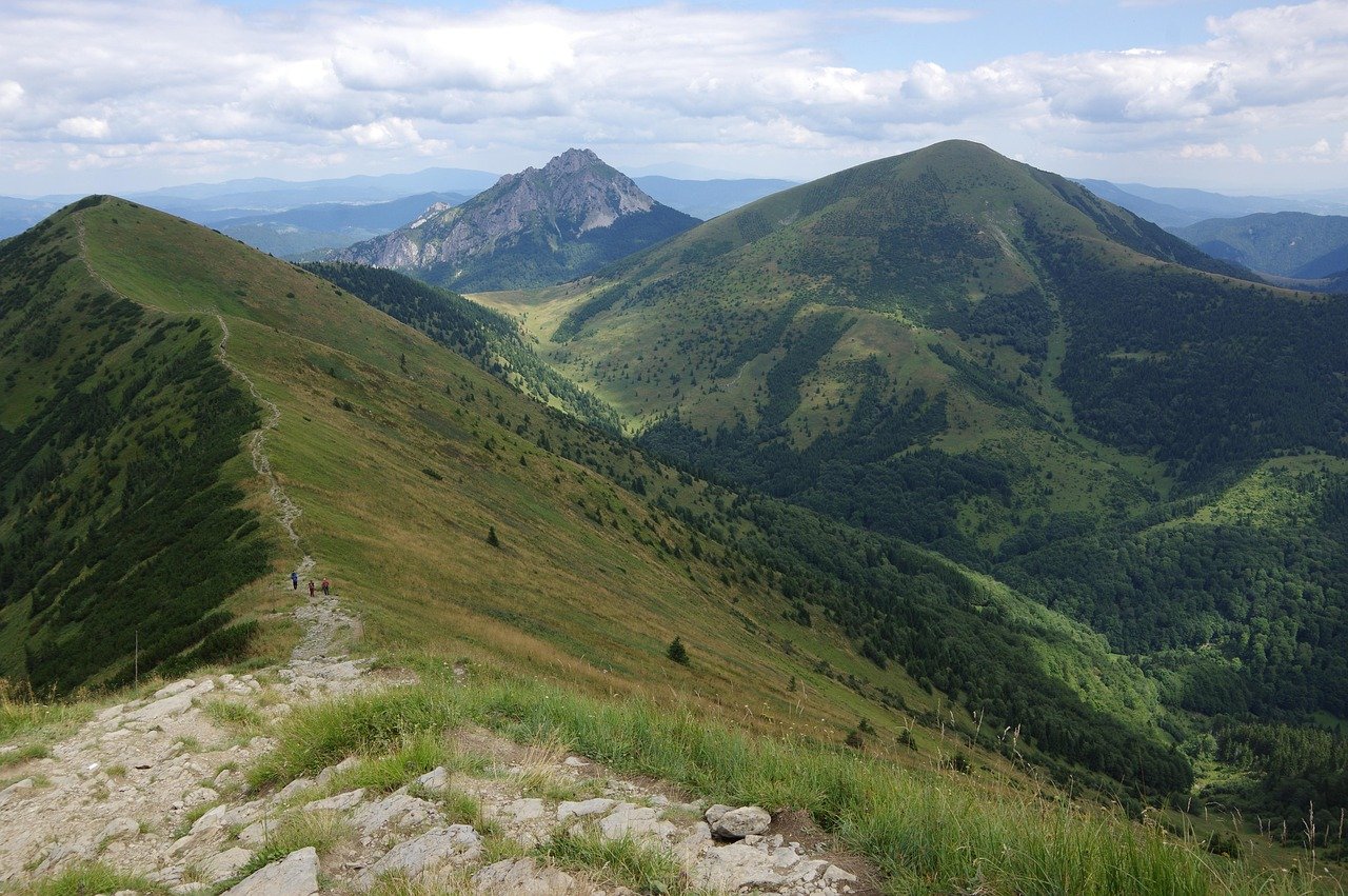 Rodinný výlet sa zmenil na bitku: Turistu mali napadnúť pre voľne pobehujúceho psa