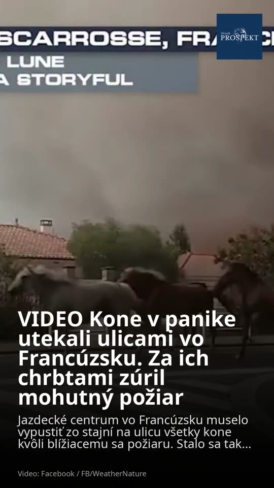 VIDEO Kone v panike utekali ulicami vo Francúzsku. Za ich chrbtami zúril mohutný požiar